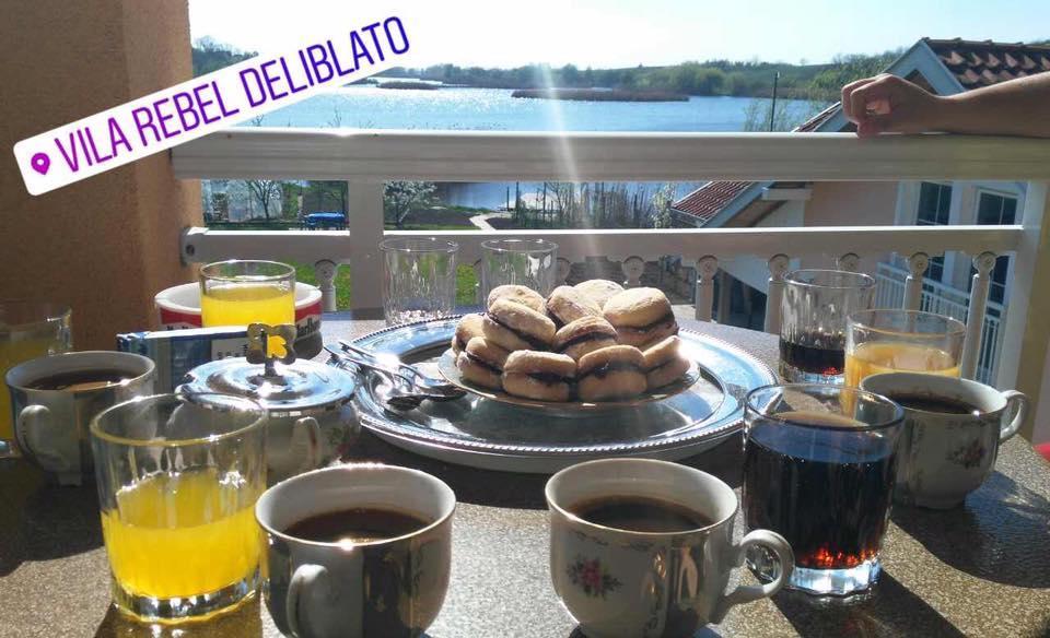 Guesthouse Rebel Deliblato Bagian luar foto